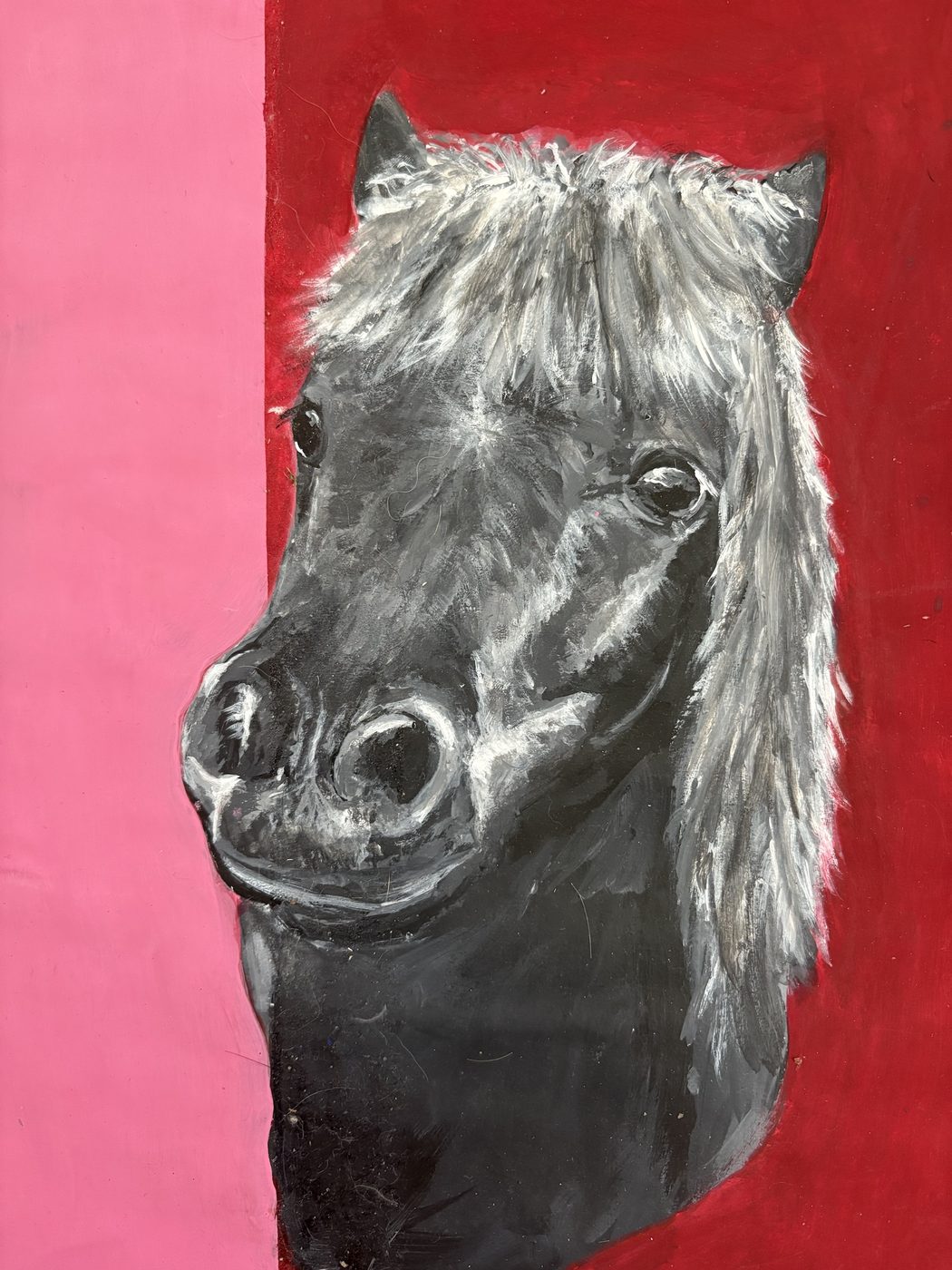 Study of a grey pony's head against a pink and red striped background, acrylic on board.