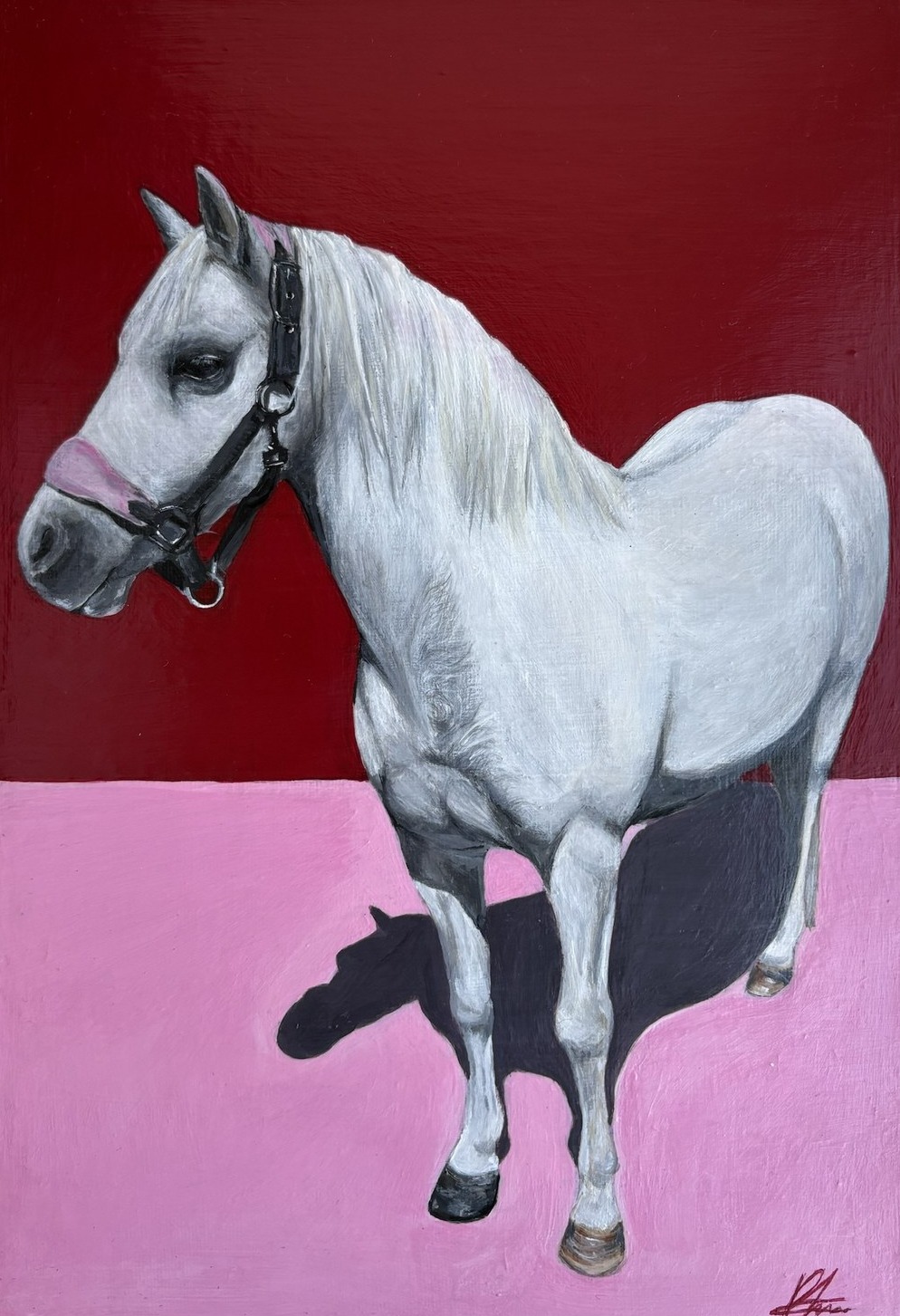 Grey pony in a headcollar, painted against a dark red and pink colour-blocked background.
